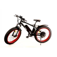 Электровелосипед ELBIKE PHANTOM 500W
