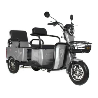 Электротрицикл IKINGI SIBTRIKE Т5 MAX серебристый