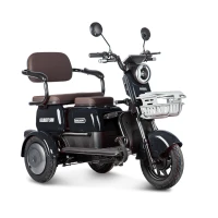 Электротрицикл Rutrike Gelbert Sun 48V/60V 650Вт