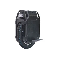 Моноколесо Veteran Sherman 3600Wh 100V Black